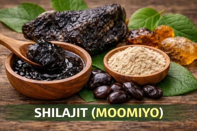BreathEaseX + CardioEaseX Shilajit ingredient