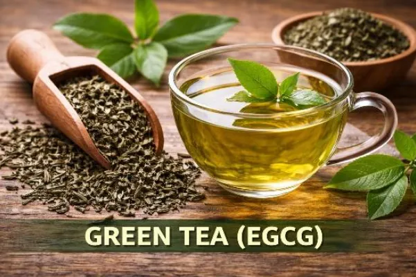 BreathEaseX + CardioEaseX Green Tea Extract ingredient